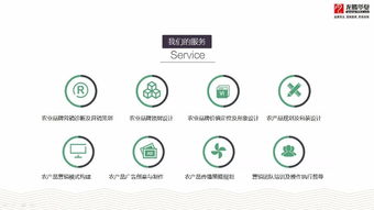成都農(nóng)業(yè)品牌策劃營銷與產(chǎn)品包裝設(shè)計服務